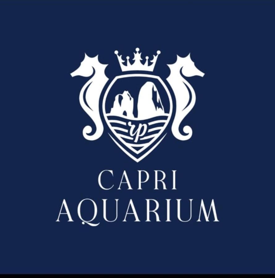 Capri Aquarium Family - Vacation Home Екстериор снимка